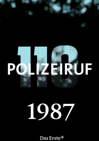 Polizeiruf 110, Vol. 17