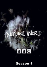 Natural World - Visions Of The Natural World