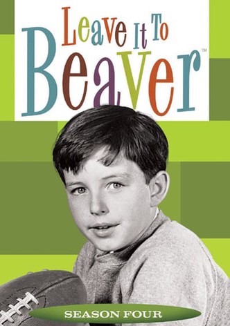 Leave it to beaver watch online new arrivals