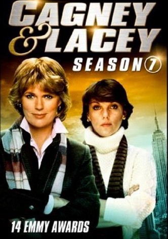 Cagney und Lacey (Staffel 6)