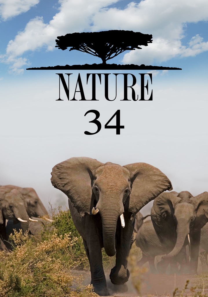 Nature Season 34 - watch full episodes streaming online