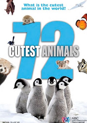 72 Cutest Animals - streaming tv show online