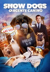 Cães à Solta