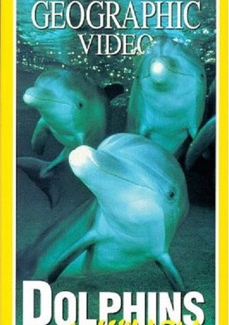 Dolphins: The Wild Side
