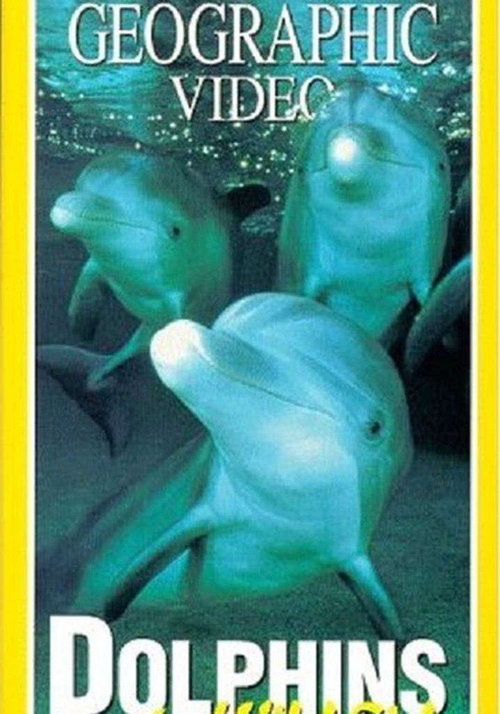 Dolphins: The Wild Side
