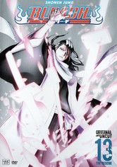 Bleach