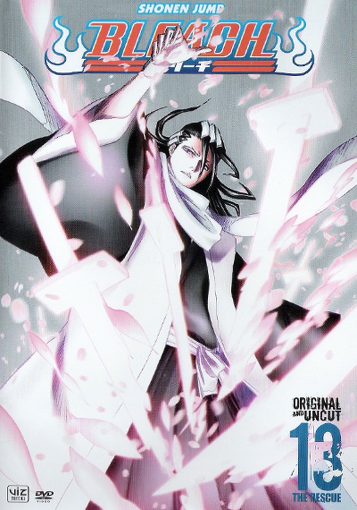 Bleach Final Chapter - Zanpakuto the Alternate Tale (TV Episode