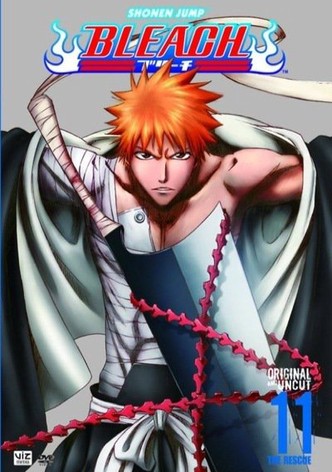 Bleach Temporada 1 