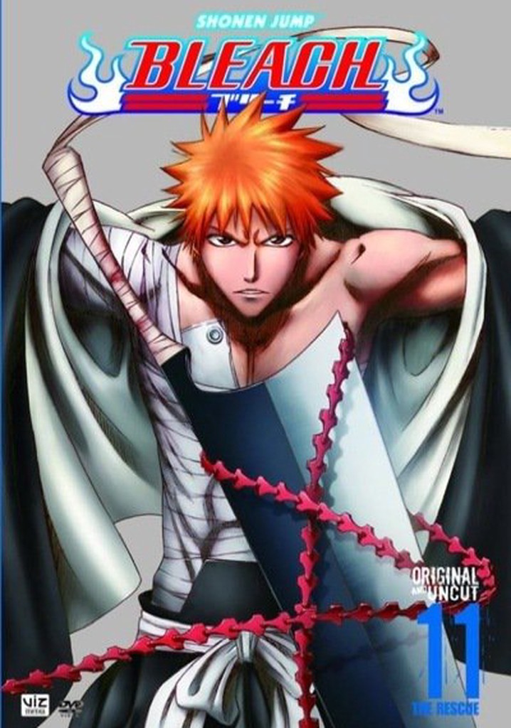 Bleach Staffel 11 - Jetzt online Stream anschauen