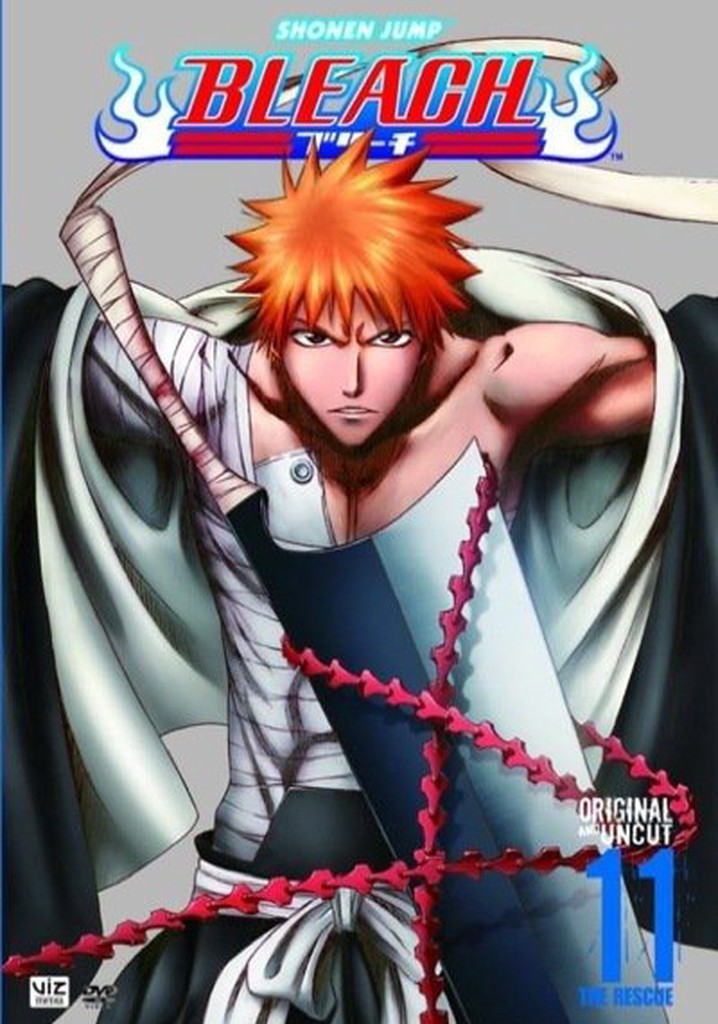 Assistir Bleach: 2 part 2 - Episódio - 11 animes online