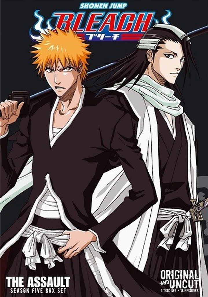  Bleach Uncut Set 24 (DVD) : Noriyuki Abe: Movies & TV