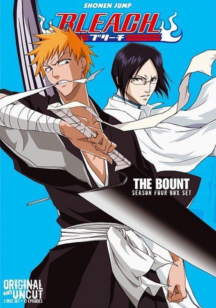 Bleach Temporada 1 