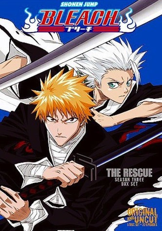 Bleach Set 11 DVD