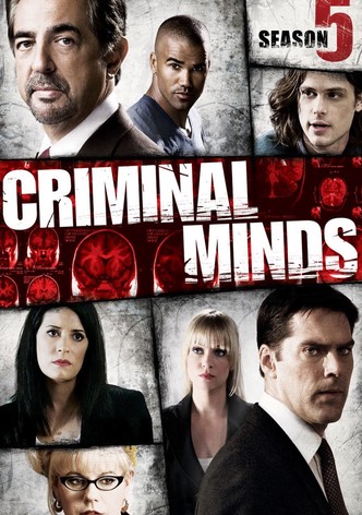 Criminal minds season 2 best sale watch online