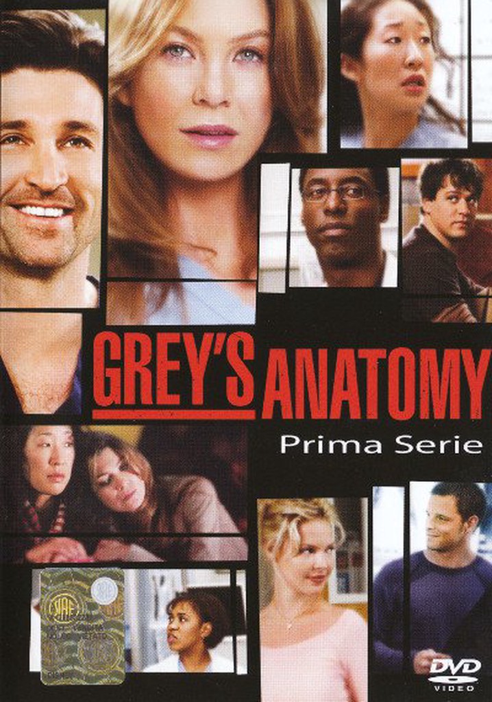 Grey's Anatomy Stagione 1 - streaming online