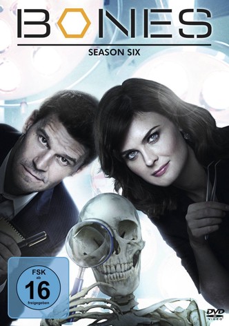 Bones - Staffel 6