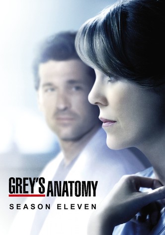 Grey's anatomy live hot sale stream free