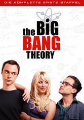 The Big Bang Theory