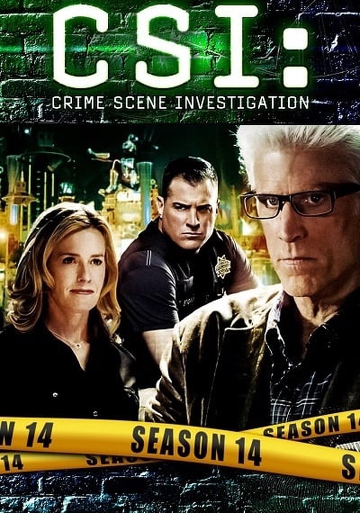 CSI : 科学捜査班シーズン 14 - フル動画を動画配信で視聴！