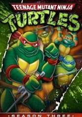 Teenage Mutant Hero Turtles