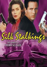 Silk Stalkings - 시즌 3