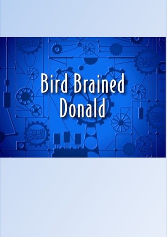 Bird Brained Donald