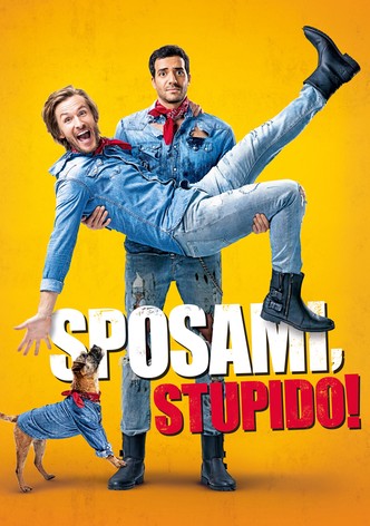 Sposami, stupido!