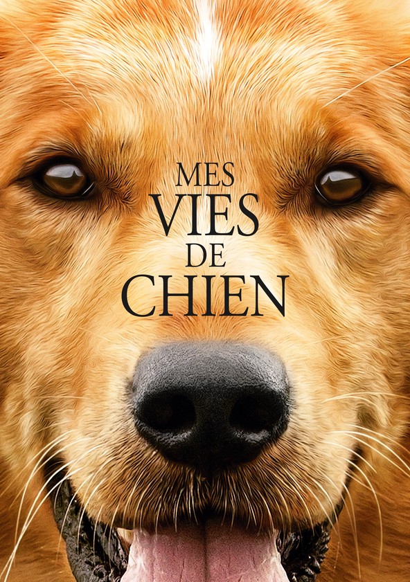 Regarder Mes Vies De Chien En Streaming Complet