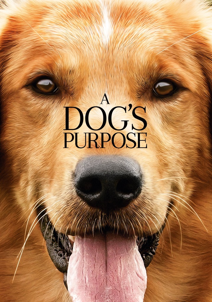 A Dog #39 s Purpose movie: watch streaming online