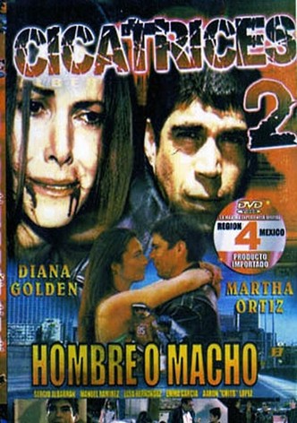 Scars 2