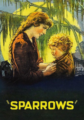Воробушки