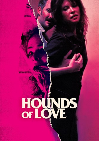 Hounds of Love