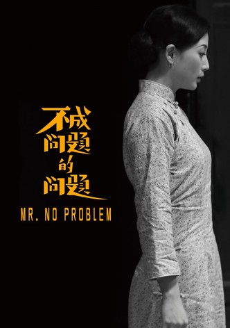 Mr. No Problem