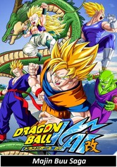 ドラゴンボール改 カイ Tv ドラマ 動画配信 視聴