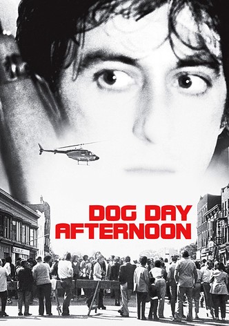 is dog day afternoon a true story