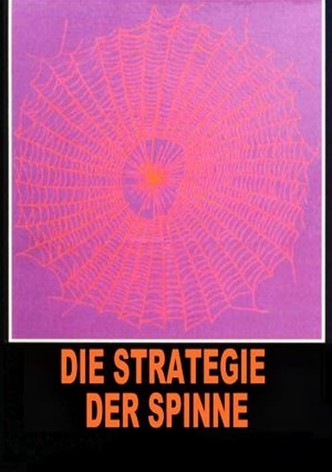 Die Strategie der Spinne
