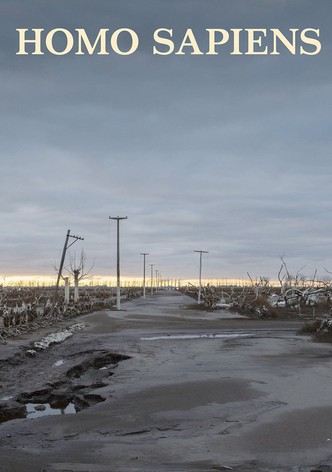 Homo sapiens