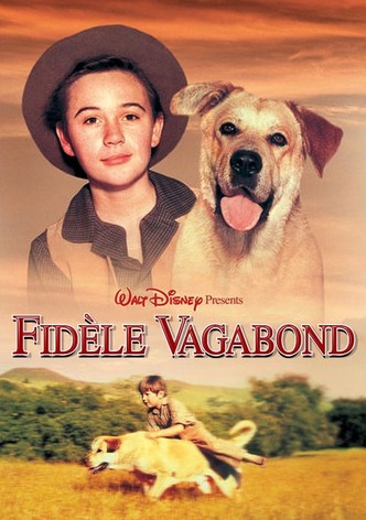 Fidèle vagabond