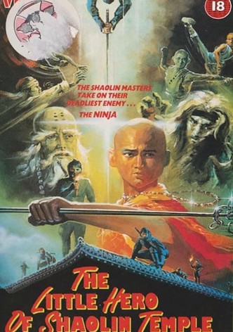 The Little Hero of Shaolin Temple