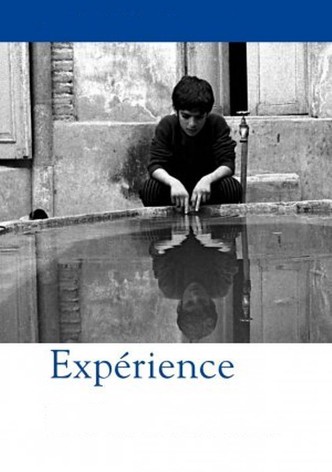 Expérience