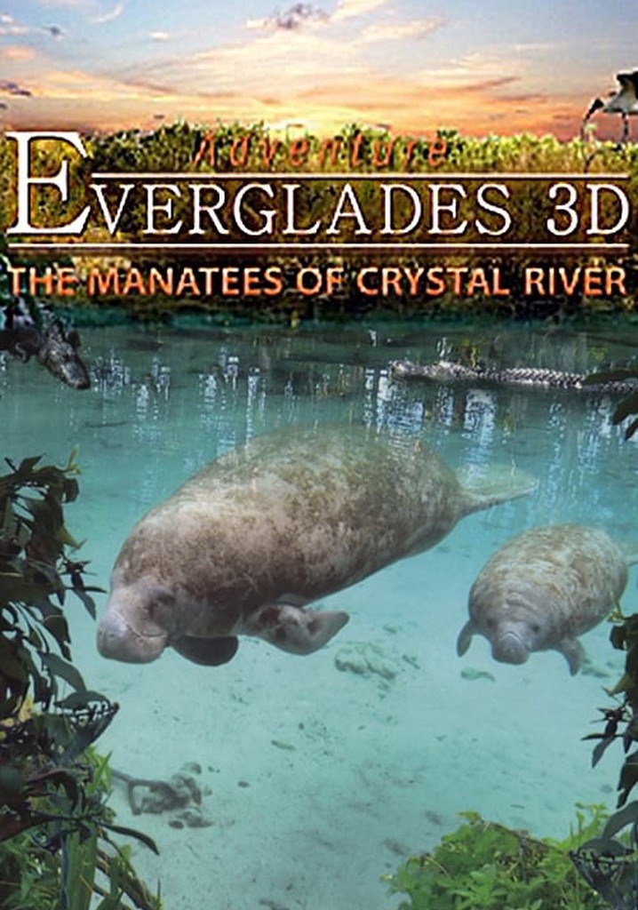 Adventure Everglades 3D - The Manatees of Crystal River