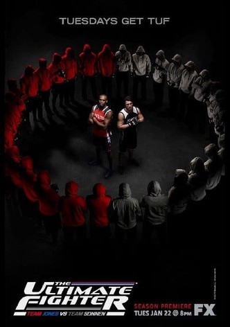Staffel 17
