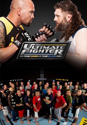 The Ultimate Fighter streaming tv series online