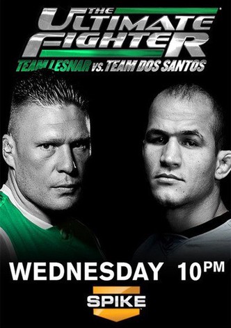 The Ultimate Fighter - streaming tv show online