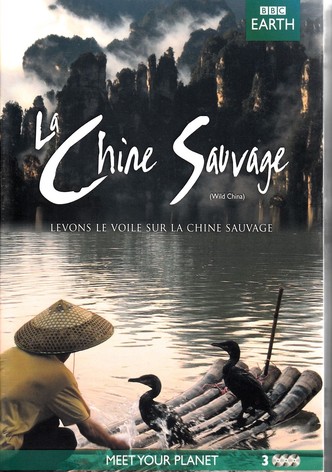 Chine sauvage