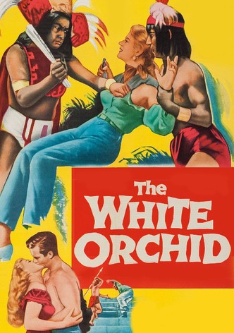 The White Orchid