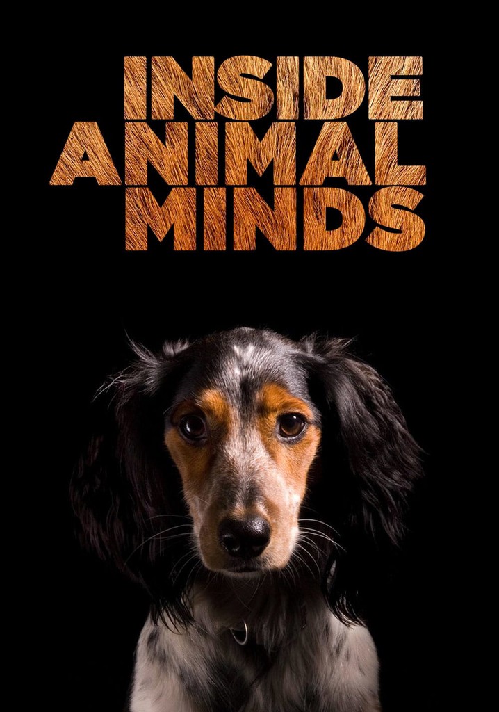 Inside Animal Minds