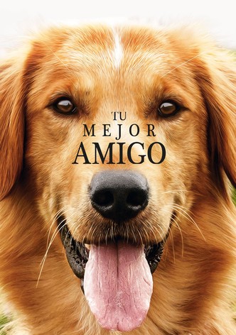 Tu mejor amigo