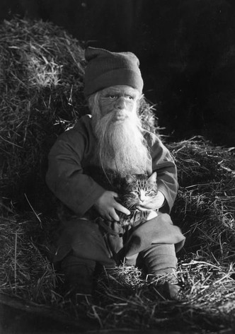 Tomten: A Winter Tale