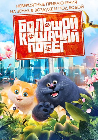 Большой кошачий побег